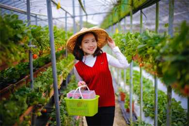 菩提无树，众生延命，惟在自修自渡