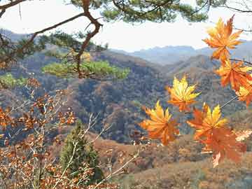 刘志宏 ‖ 华夏美景（组章）